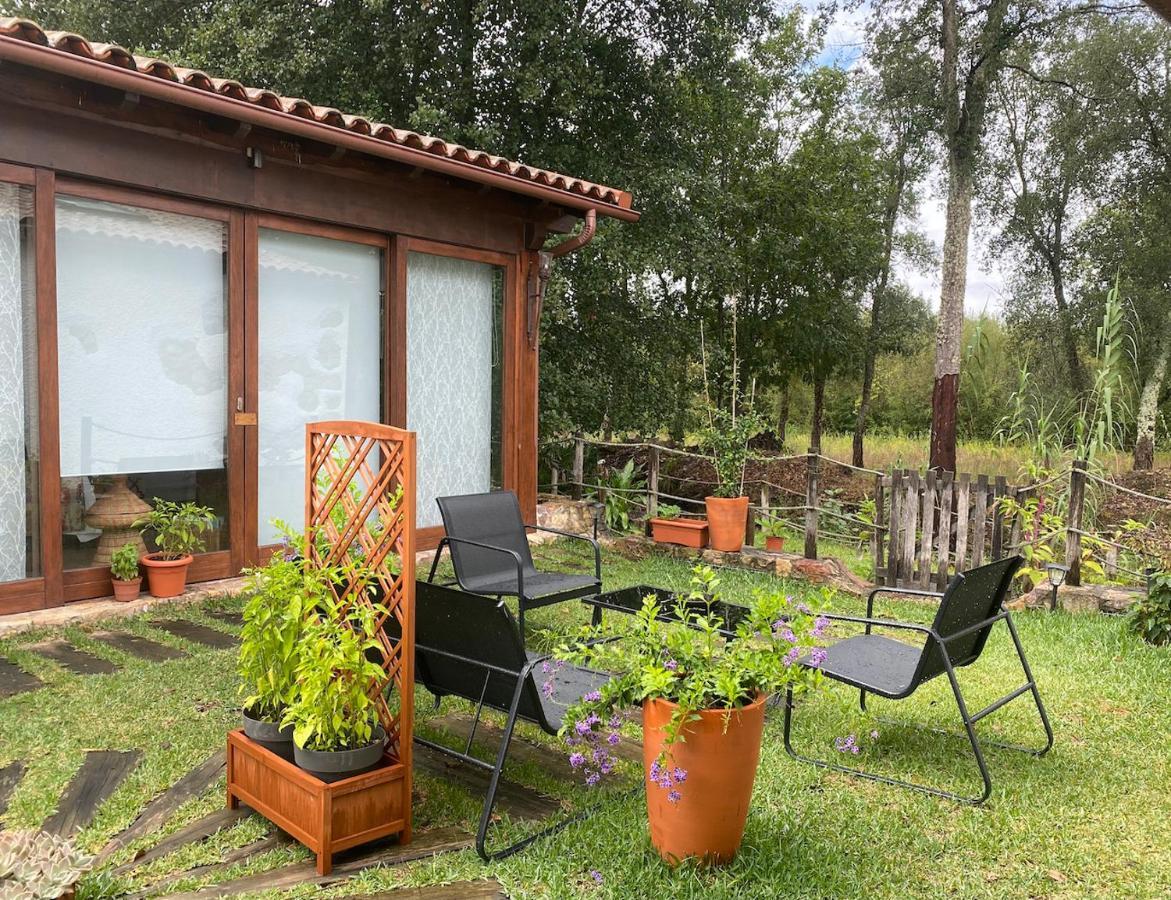 The Old Watermill Retreat - O Retiro Da Azenha Velha Apartment Vila Nova de Poiares Bagian luar foto