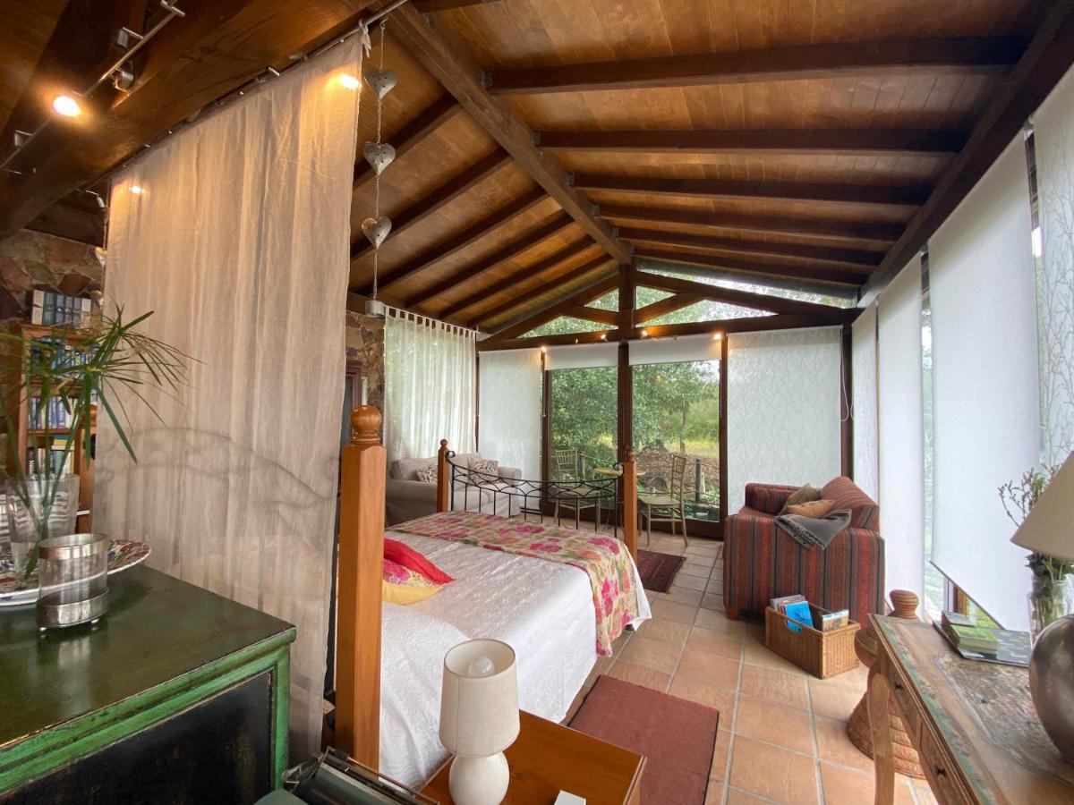 The Old Watermill Retreat - O Retiro Da Azenha Velha Apartment Vila Nova de Poiares Bagian luar foto
