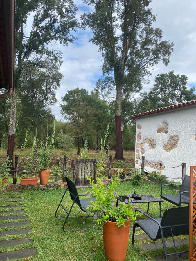 The Old Watermill Retreat - O Retiro Da Azenha Velha Apartment Vila Nova de Poiares Bagian luar foto